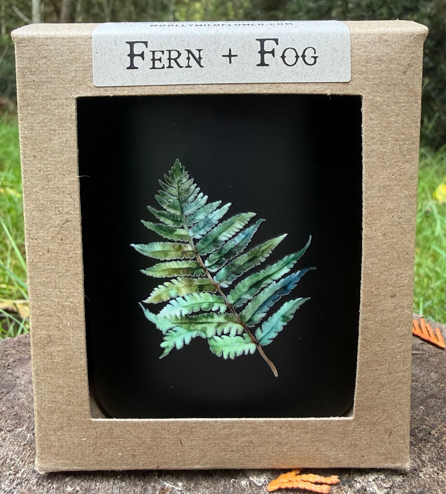 Fern + Fog product packaging with a fern illustration on a natural background