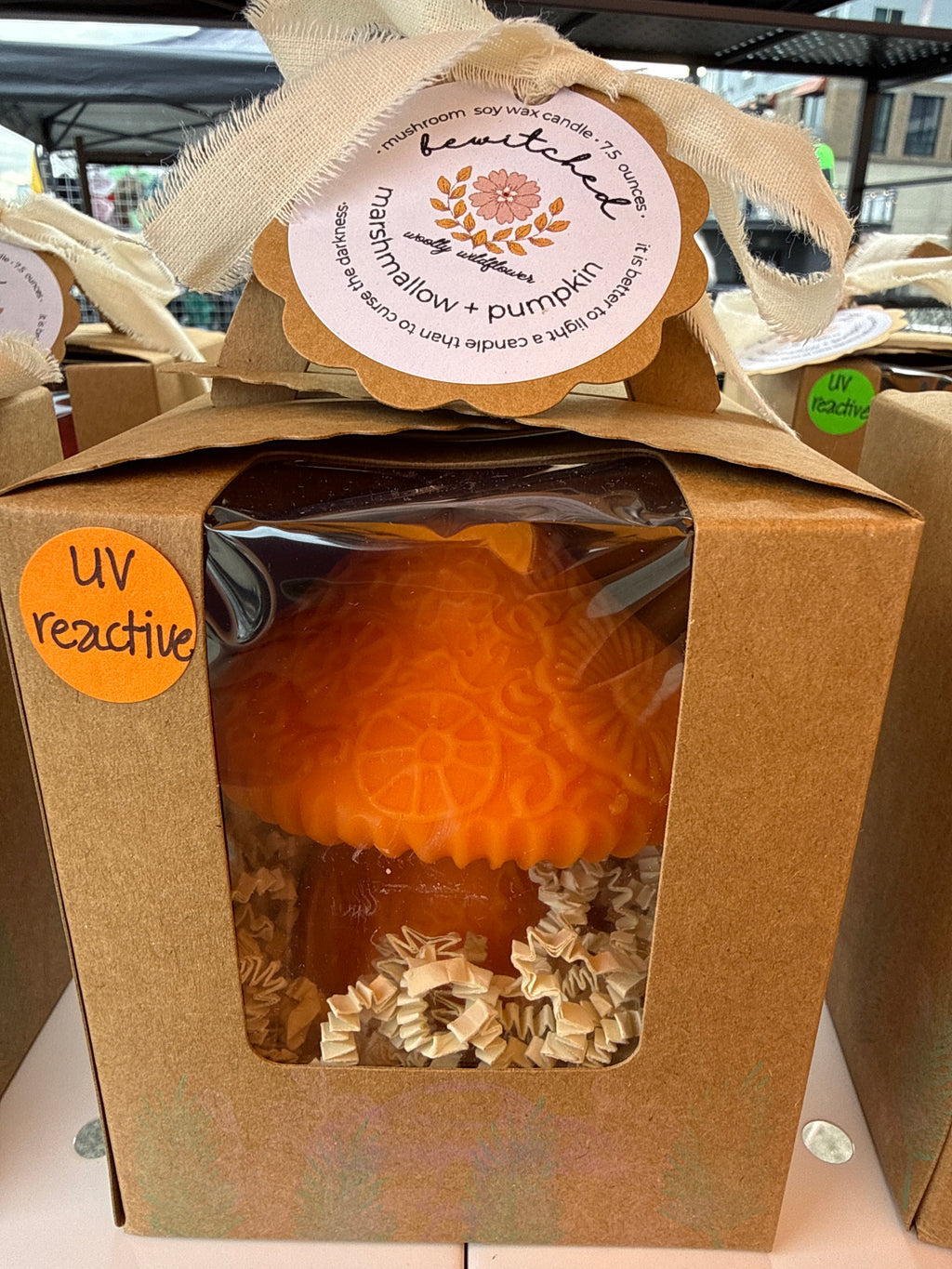 Mushroom Candle: forager gift box