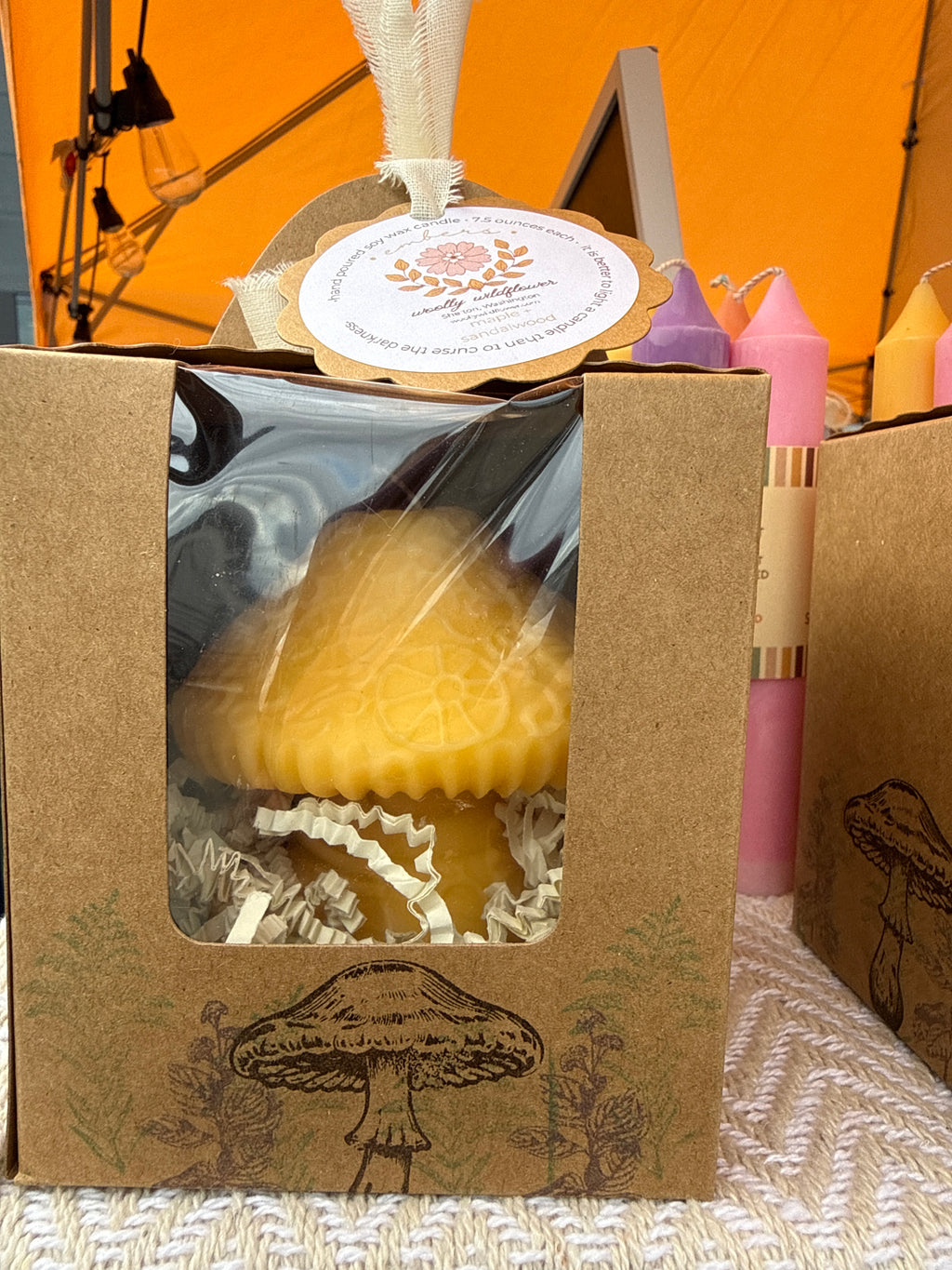 Mushroom Candle: forager gift box