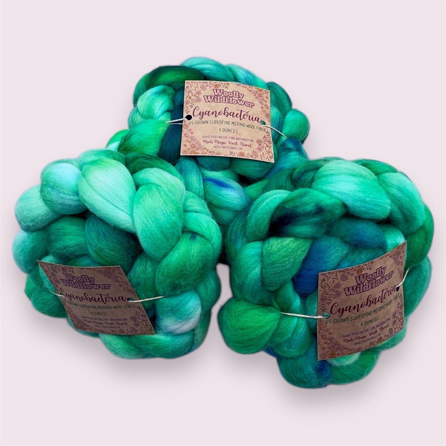 CYANOBACTERIA superfine Merino